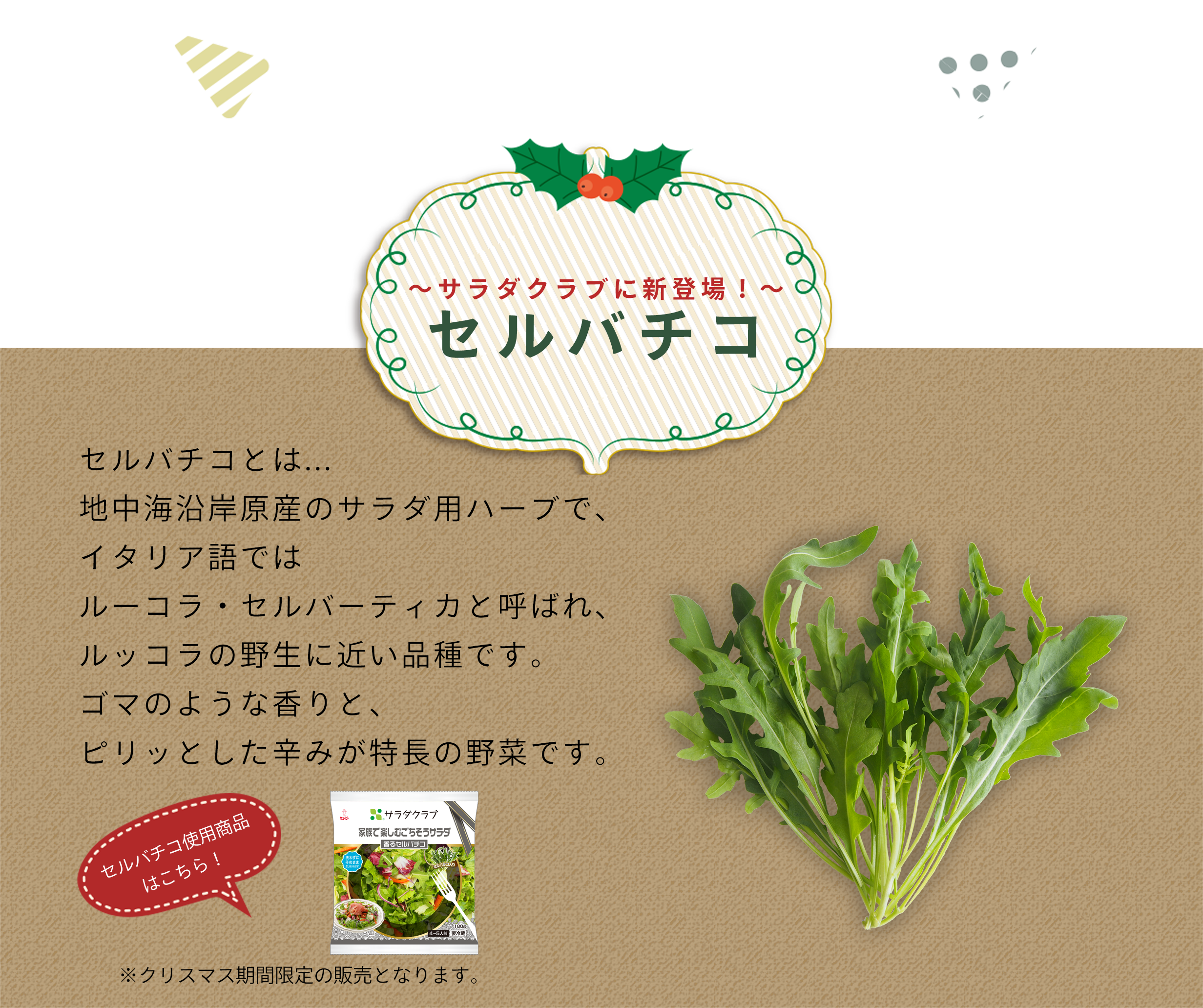 ~サラダクラブに新登場!~セルバチコ