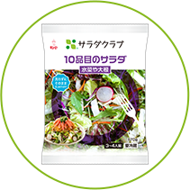 10品目のサラダ 水菜や大根