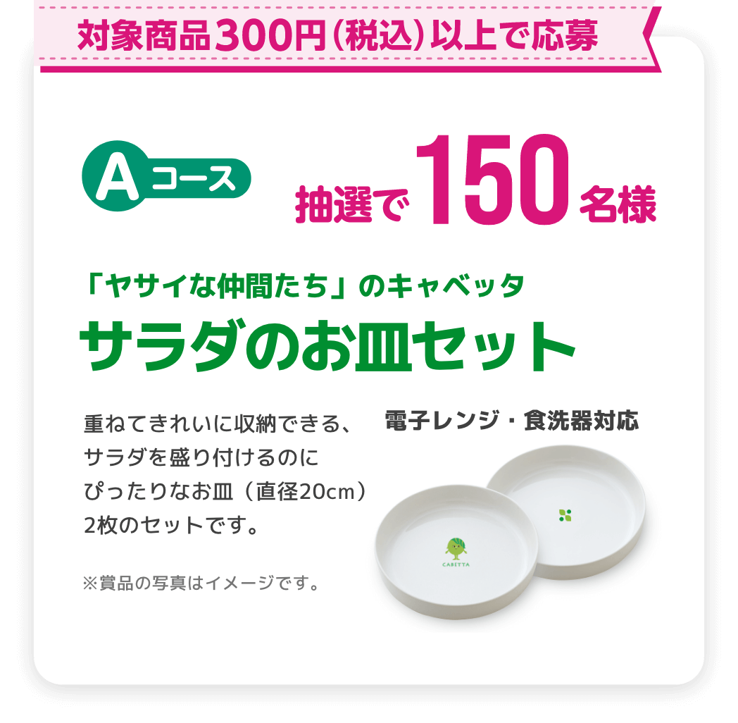 対象商品合計300円以上で応募 抽選で150名様 サラダのお皿セット