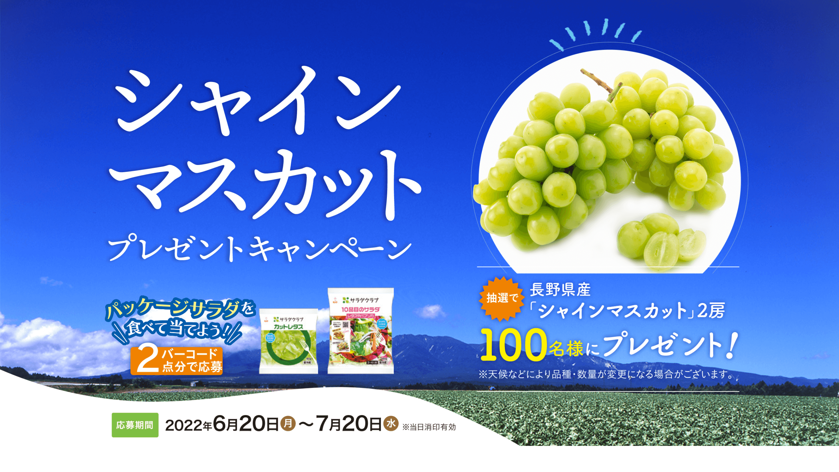 シャインマスカットプレゼントキャンペーン 応募締切：2022年7月20日（水）当日消印有効 抽選で100名様にプレゼント！（長野県産「シャインマスカット」2房）