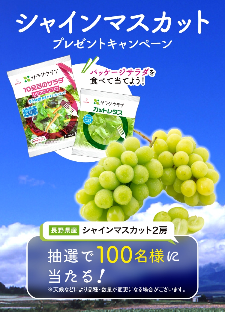 シャインマスカットプレゼントキャンペーン 応募締切：2023年7月14日（金）当日消印有効 抽選で100名様にプレゼント！（長野県産「シャインマスカット」2房）