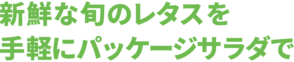 レタスの最盛期にフードロス削減を支援