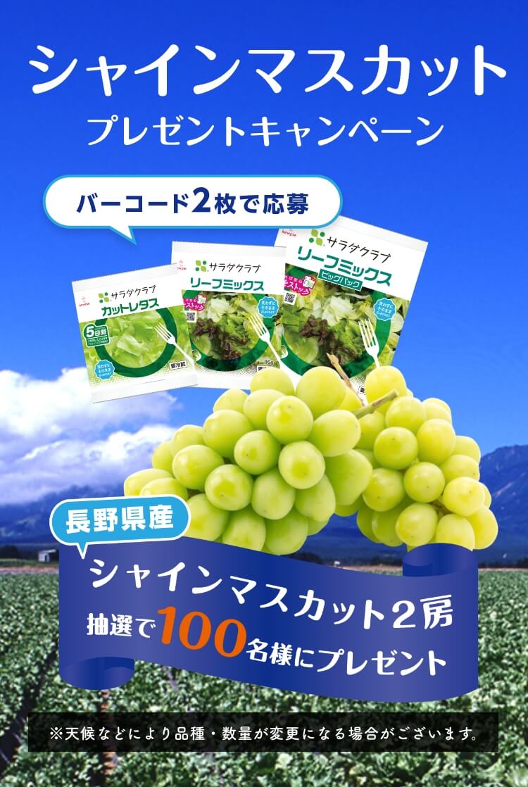 シャインマスカットプレゼントキャンペーン 応募締切：2024年6月17日（月）当日消印有効 抽選で100名様にプレゼント！（長野県産「シャインマスカット」2房）