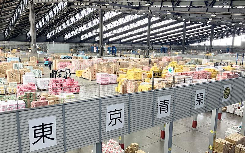 大田市場の写真