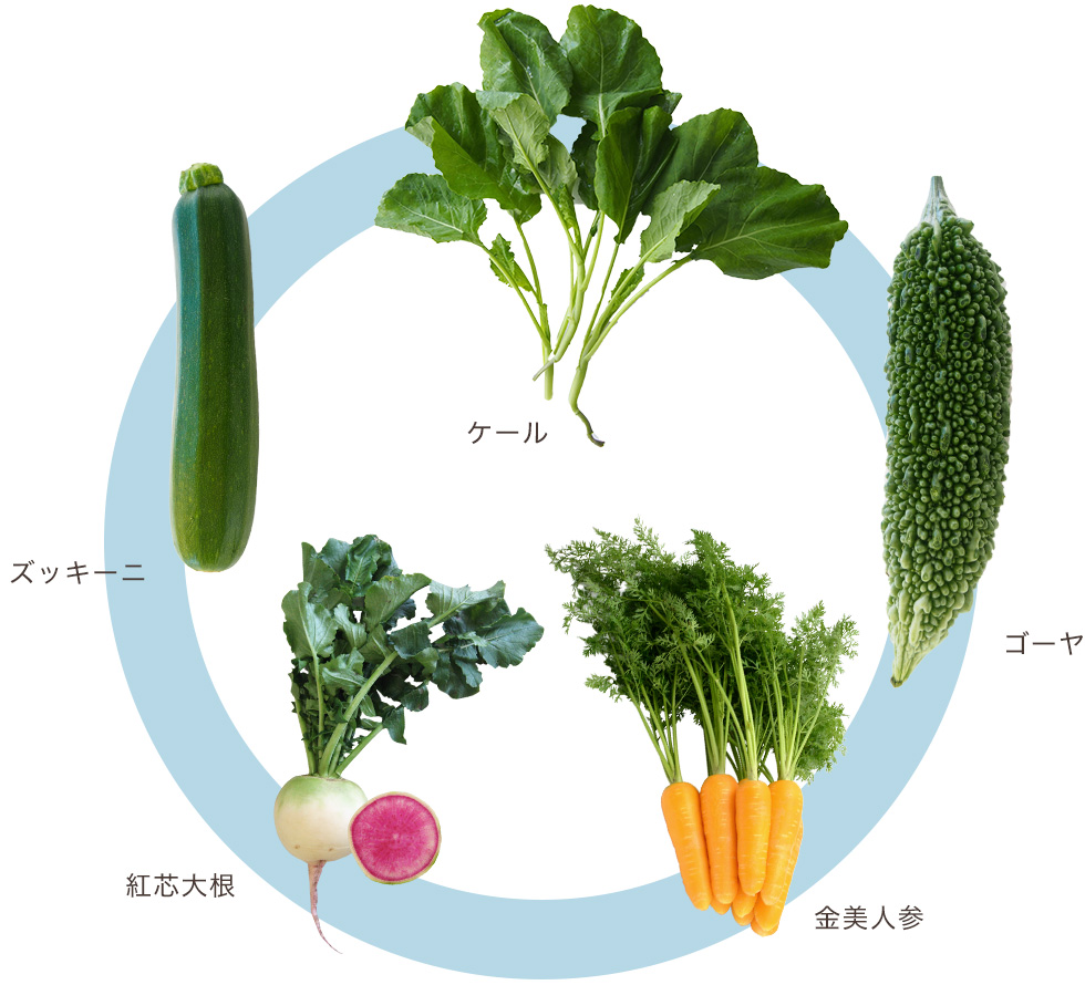 野菜の活用