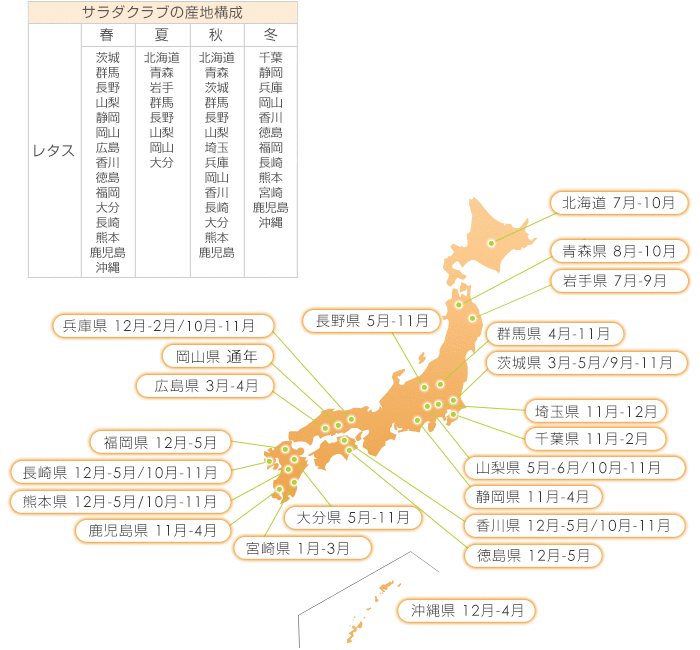 レタスの産地リレー