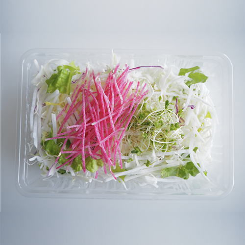 【187】ラバースタンプ  野菜洗い担当  ノームさん 187】ラバースタンプ 野菜洗い担当 ノームさん