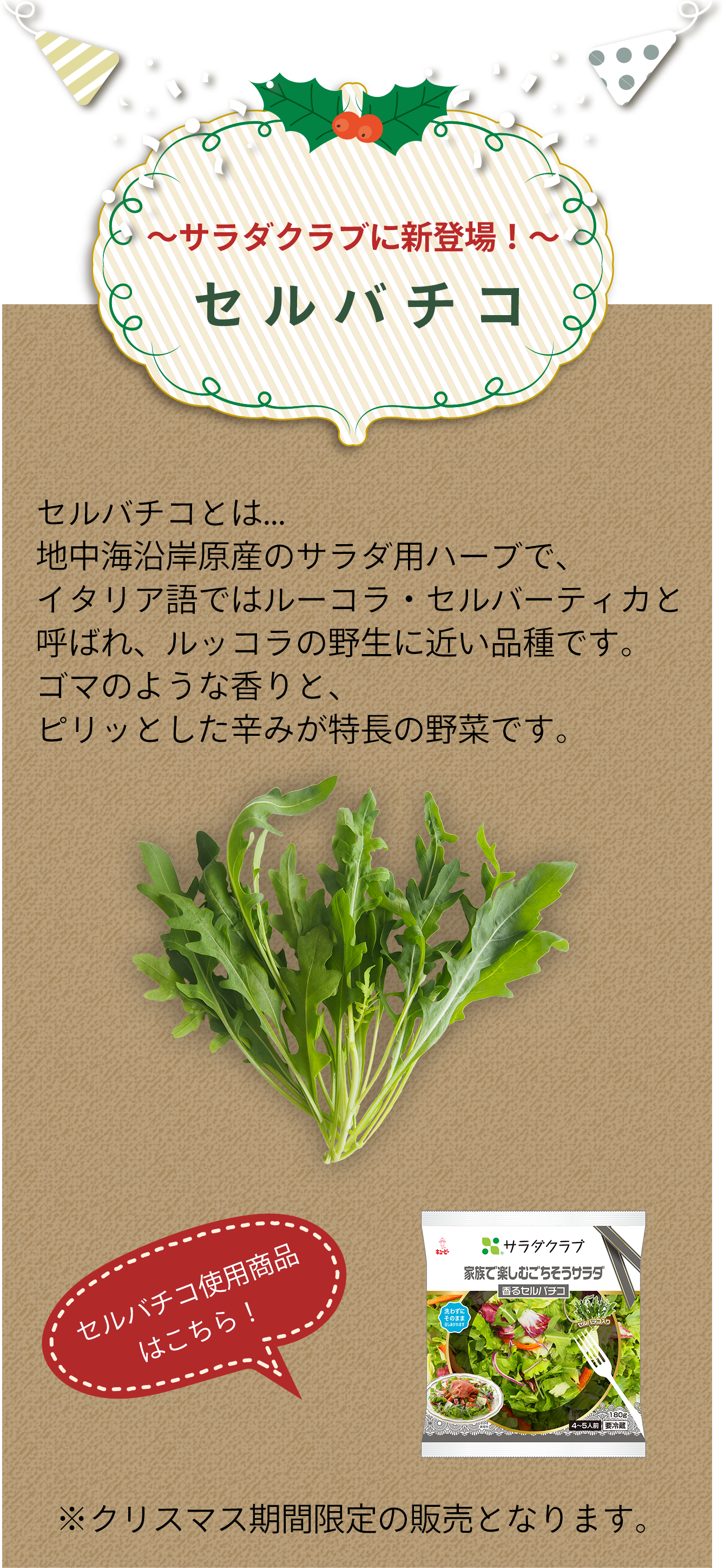 家族で楽しむごちそうサラダ 彩りパプリカ 華やかトレビス 香るセルバチコ サラダクラブ