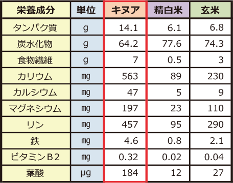 グラフ1