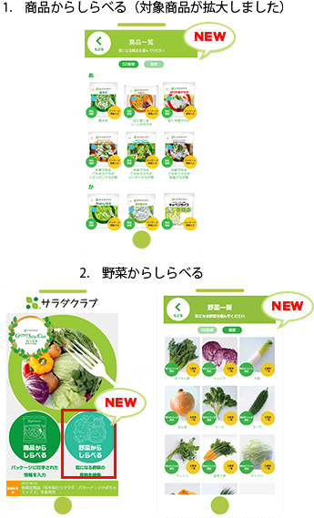 この野菜はいったいどこから？