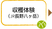 収穫体験（JR長野八ヶ岳）