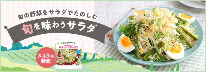 旬を味わうサラダ